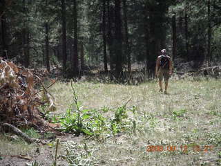 hiking at Pine Valley, Utah