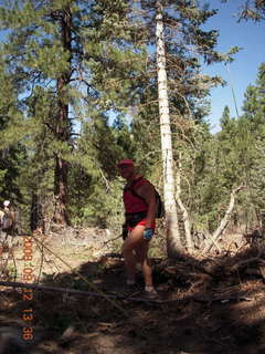 Dustin and Marcelle hiking at Pine Valley, Utah