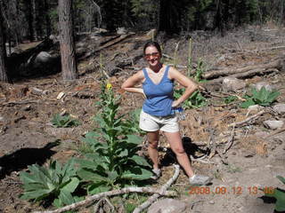 Marcelle hiking at Pine Valley, Utah
