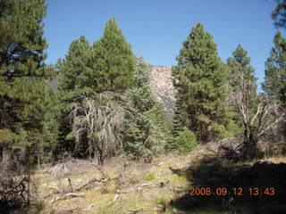 Dustin and Marcelle hiking at Pine Valley, Utah