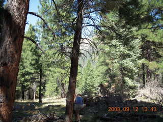fuzzy plant seen while hiking at Pine Valley, Utah