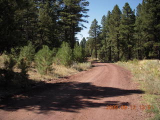 Adam hiking at Pine Valley, Utah