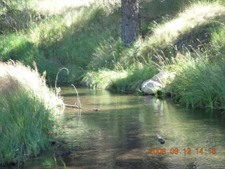 stream - hiking at Pine Valley, Utah