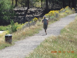 Dragonfly - hiking at Pine Valley, Utah