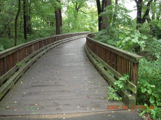 eclipse - Hong Kong - bridge