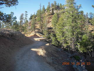 Bryce Canyon - Tower Bridge trail from sunrise