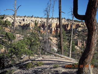 Bryce Canyon - Tower Bridge trail from sunrise