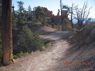 Bryce Canyon - Tower Bridge trail from sunrise