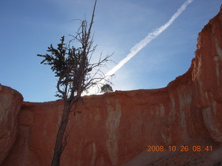 Bryce Canyon - Adam - Tower Bridge trail from sunrise