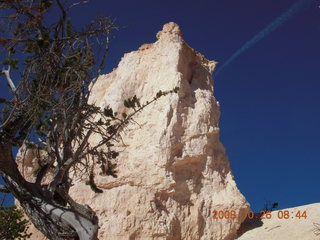 Bryce Canyon - Tower Bridge trail from sunrise