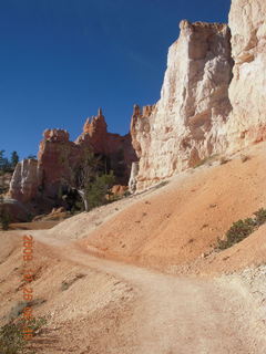 Bryce Canyon - Tower Bridge trail from sunrise