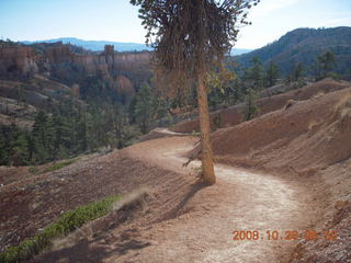 Bryce Canyon - Tower Bridge trail from sunrise