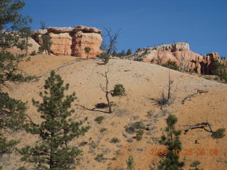 Bryce Canyon - Tower Bridge trail from sunrise