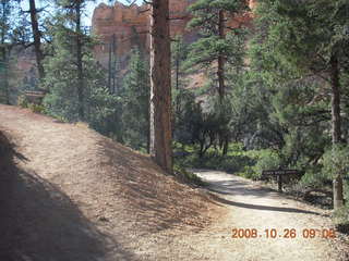 Bryce Canyon - Fairyland and Tower Bridge signs