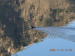 Bagdad Airport (E51) run