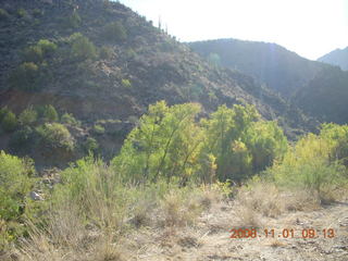 Bagdad run - trees at canyon bottom