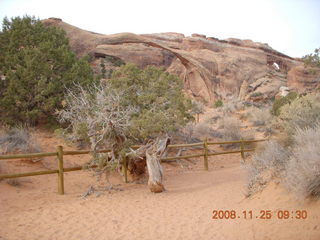 81 6pr. Arches National Park - Devils Garden trail
