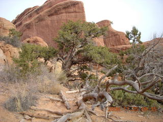 86 6pr. Arches National Park - Devils Garden trail