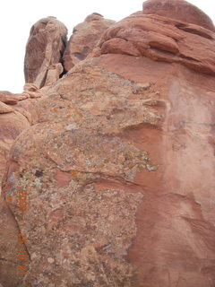 103 6pr. Arches National Park - Devils Garden trail