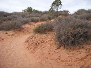 112 6pr. Arches National Park - Devils Garden - Dark Angel trail