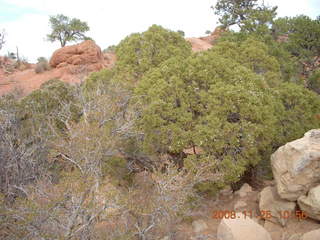 117 6pr. Arches National Park - Devils Garden - Dark Angel trail
