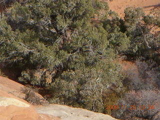 186 6pr. Arches National Park