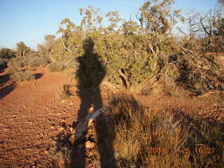 266 6pr. Dead Horse Point State Park sunset - my shadow