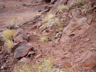 54 6pt. Canyonlands National Park - Lathrop trail hike