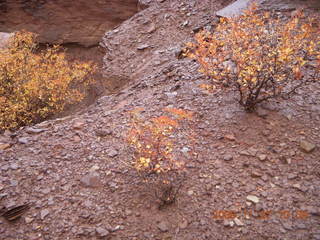 210 6pt. Canyonlands National Park - Lathrop trail hike