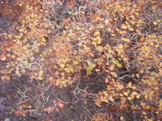 211 6pt. Canyonlands National Park - Lathrop trail hike