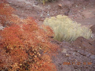 213 6pt. Canyonlands National Park - Lathrop trail hike