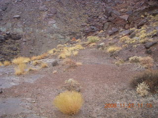 220 6pt. Canyonlands National Park - Lathrop trail hike