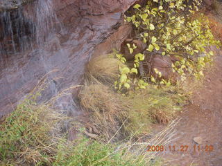 232 6pt. Canyonlands National Park - Lathrop trail hike - waterfall