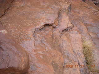 244 6pt. Canyonlands National Park - Lathrop trail hike