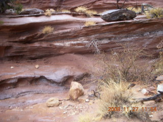 256 6pt. Canyonlands National Park - Lathrop trail hike
