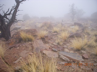 263 6pt. Canyonlands National Park - Lathrop trail hike