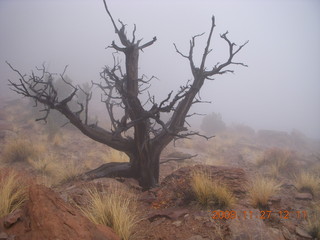 264 6pt. Canyonlands National Park - Lathrop trail hike