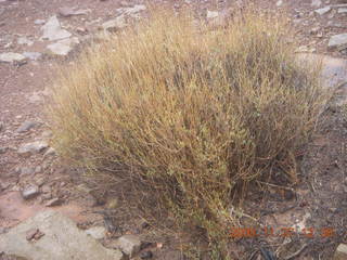 285 6pt. Canyonlands National Park - Lathrop trail hike