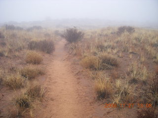 309 6pt. Canyonlands National Park - Lathrop trail hike