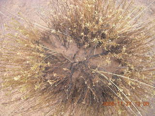 310 6pt. Canyonlands National Park - Lathrop trail hike