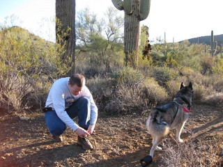 aerial - Canyonlands - Colorado River (looking for picnic tables)