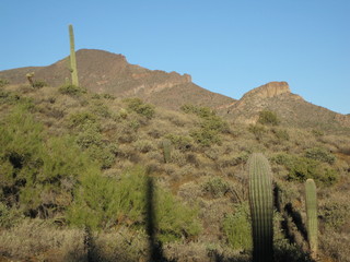 aerial - Canyonlands - Colorado River (looking for picnic tables)