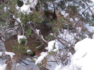 108 6qg. beth's Saturday zion-trip pictures - Zion National Park - Angels Landing hike