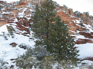 133 6qg. beth's Saturday zion-trip pictures - Zion National Park