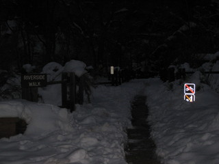 8 6qh. beth's Sunday zion-trip pictures - Zion National Park - pre-dawn riverwalk signs
