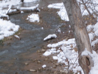 17 6qh. beth's Sunday zion-trip pictures - Zion National Park - Virgin River