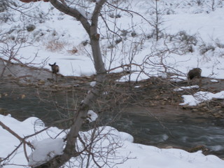 20 6qh. beth's Sunday zion-trip pictures - Zion National Park