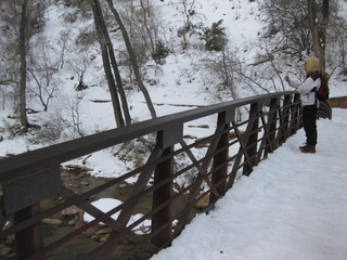 34 6qh. beth's Sunday zion-trip pictures - Zion National Park - Emerald Ponds hike - bridge