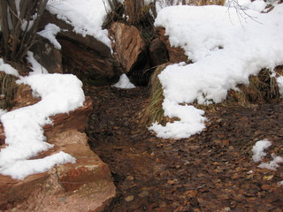40 6qh. beth's Sunday zion-trip pictures - Zion National Park - Emerald Ponds hike