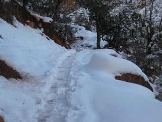 45 6qh. beth's Sunday zion-trip pictures - Zion National Park - Emerald Ponds hike